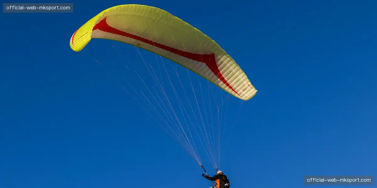 🏀 高能回合神仙操作,动作流畅如舞蹈,视觉冲击震撼心灵!💃